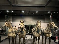 -秦始皇帝陵博物院-丽山园