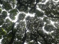 -同里国家湿地公园