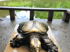 -西园戒幢律寺