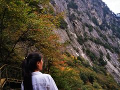 -青峰峡国家森林公园