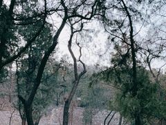 -香山公园