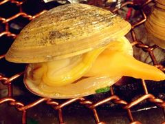 黄蚬子-胖姐烧烤(总店)