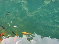 -小乡小镇·传承桐庐土菜·老板亲自烧的菜