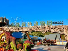 -大连森林动物园