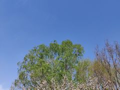 -睦南公园