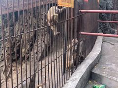 -崆峒岩风景区