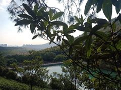 -九龙潭景区