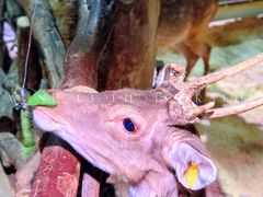 -正佳极地海洋世界