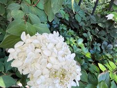 -老长春肉馆(隆礼路店)