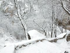 -北京凤凰岭
