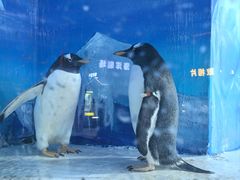-重庆欢乐海底世界