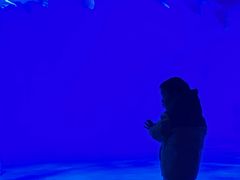 -泉城欧乐堡海洋极地世界