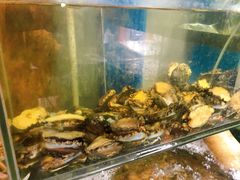 -美味海鲜大排档(明发美食地标店)