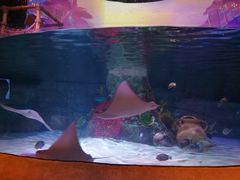 -沈阳海洋探索中心