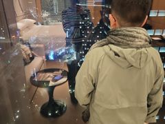 -上海宝华万豪酒店