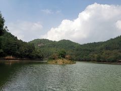 -广州白江湖森林公园