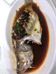 -陶然花园·婚宴