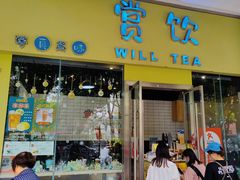 -赏饮·WILL TEA