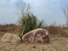 -三垟湿地