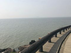 -巢湖姥山岛