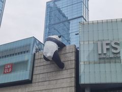-钟方模白家肥肠粉(春熙店)