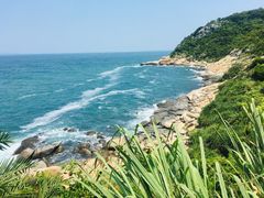 -放鸡岛生态旅游国际度假区
