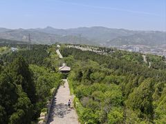 -原山国家森林公园