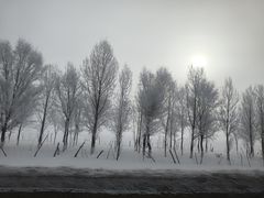 -特克斯八卦城