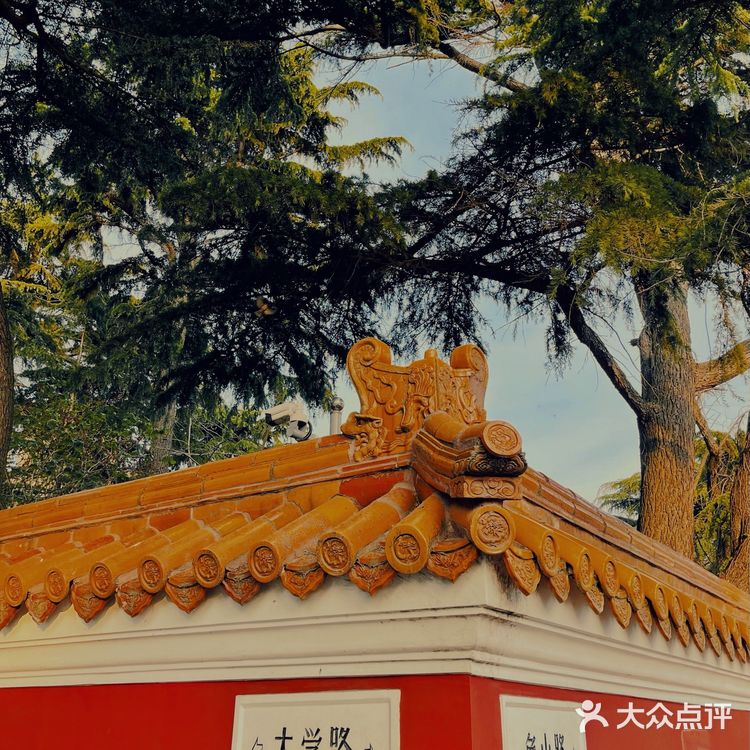 青岛网红打卡地｜青岛大学路网红转角墙