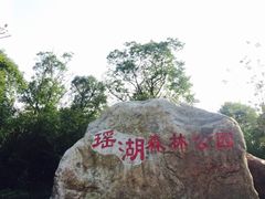-瑶湖郊野森林公园