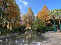 -苏州河梦清园环保主题公园