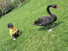 -长兴太湖图影湿地文化园