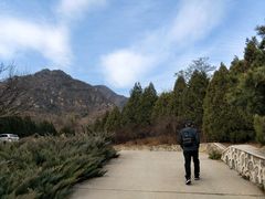 -北京鹫峰国家森林公园