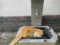 -晋祠博物馆