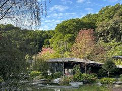 -云溪植物园