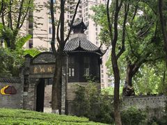 -重庆市江北嘴中央商务区中央公园