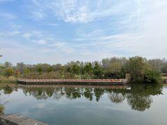 -溱湖国家湿地公园