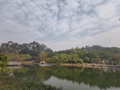 -三水森林公园