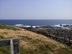 -企鹅岛