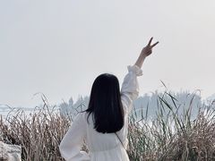 -东湖落雁景区