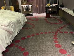 -南京禄口机场雅高铂尔曼大酒店