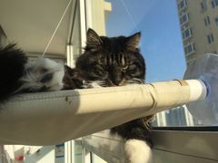 -爱诺动物医院(崂山店)