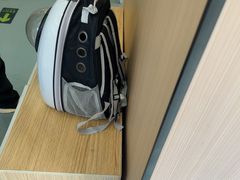 -瑞派·关忠动物医院·猫专科·犬专科(三环新城店)