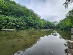 -黔灵山公园