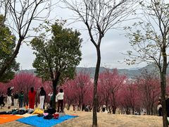 -牛岗山公园