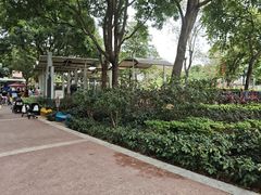 -荔湾区儿童公园