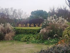 -新江湾城公园