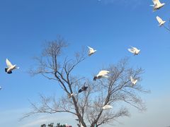 -在海一方公园