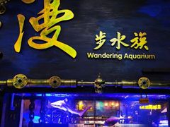 -漫步水族(金源珠宝古玩城店)