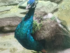 -福州罗源湾海洋世界旅游区